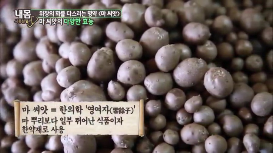 씨앗통신 이미지