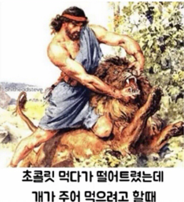개 키우는 사람은 공감할 긴급상황 | 인스티즈