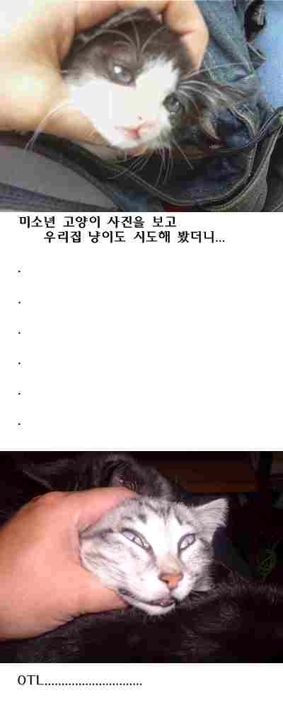 자세희 이미지