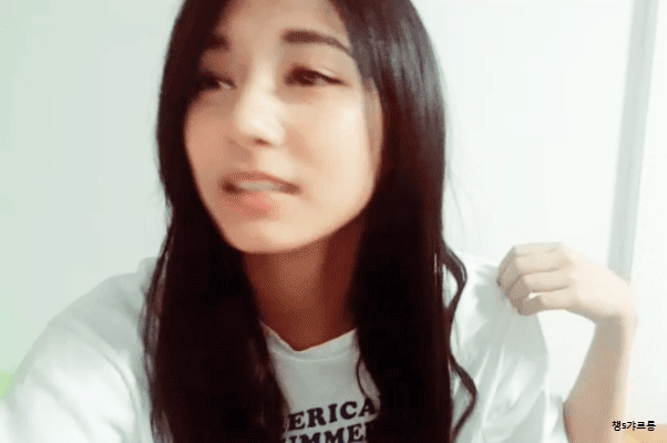 트와이스) 사나 지효 이어 두번째 v앱 방송한 쯔위 | 인스티즈