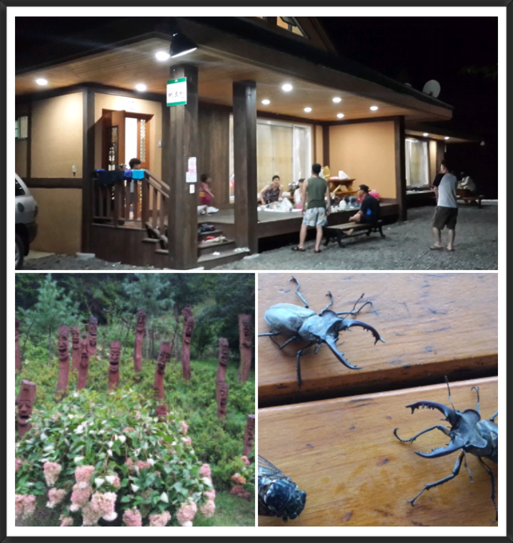 민주지산자연휴양림 이미지