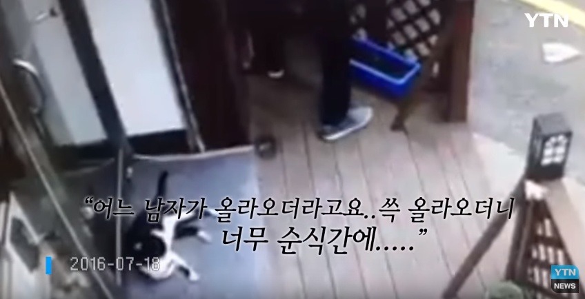 혐오,분노주의)고양이 잔혹하게 내던져 죽이고는 '웃으며 도망쳤다' | 인스티즈