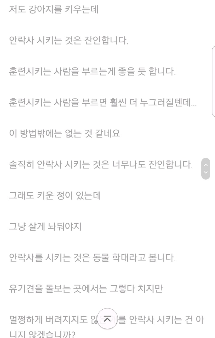 2007년 지식인에 올라왔던 대형견 안락사 고민글.txt | 인스티즈