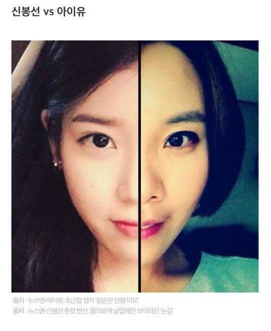 연예인 닮은꼴.jpg | 인스티즈