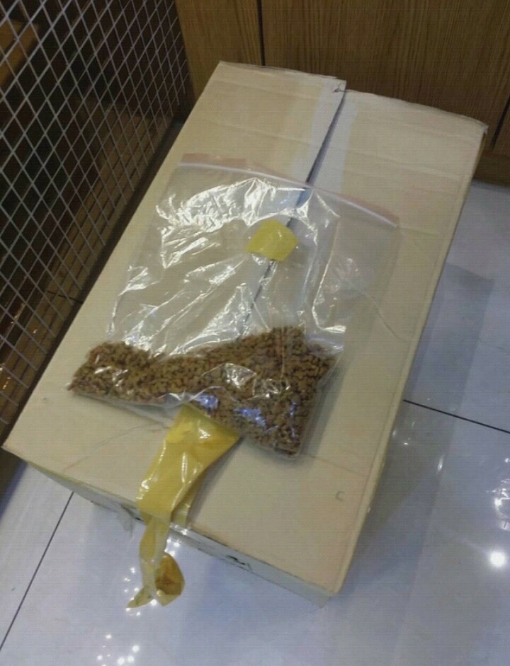 한 초등학생이 동물병원에 놓고 간 4마리의 고양이와 편지 | 인스티즈