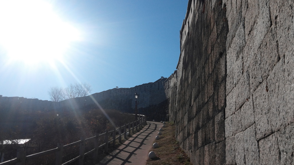 2545A34D56A8DF3D336D88