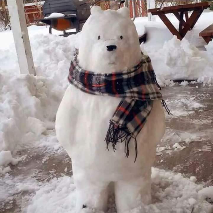 거안 이미지
