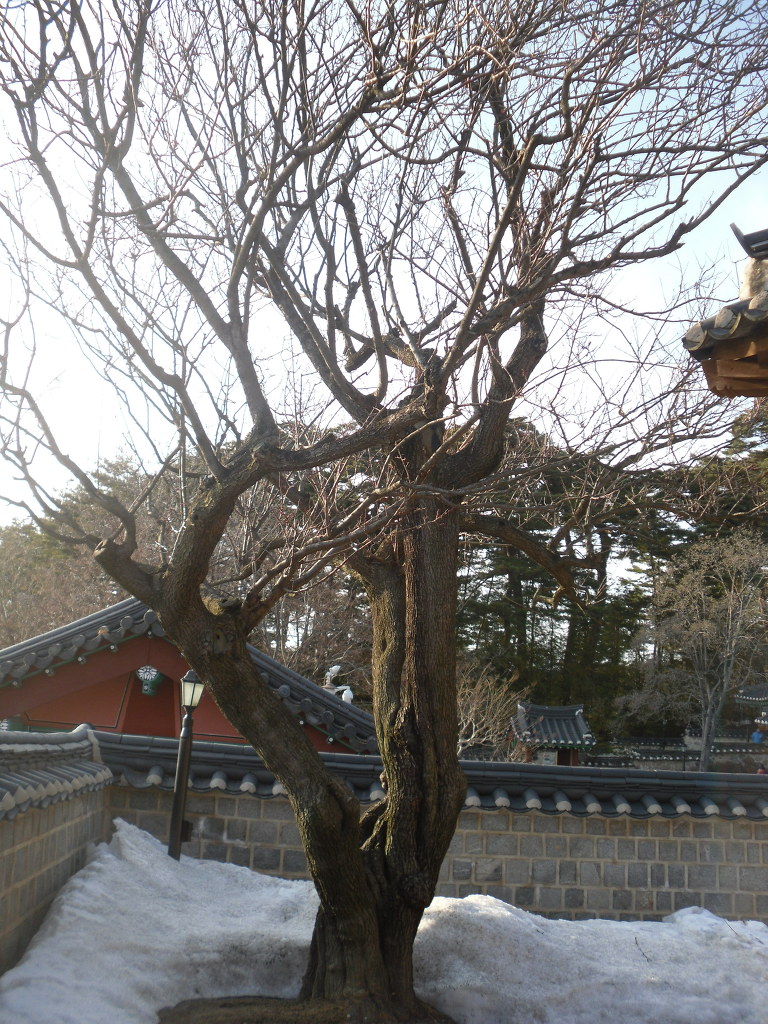 새봄여행 이미지