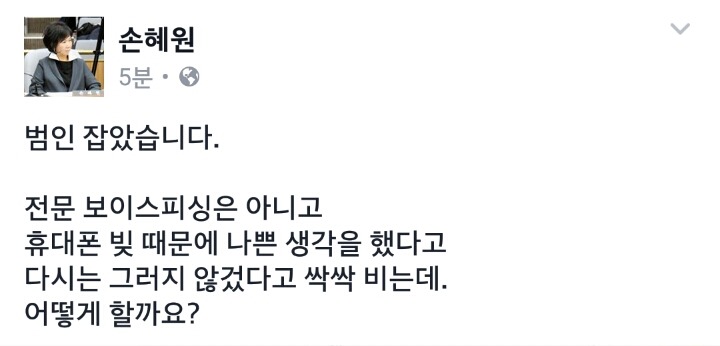 손혜원 사칭범 잡힘 | 인스티즈