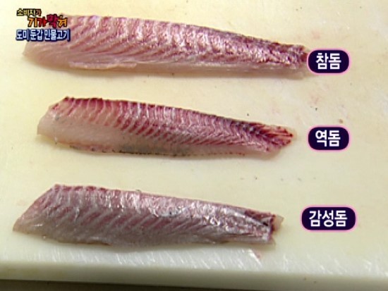 노량진 수산시장 완전 공략집 | 인스티즈