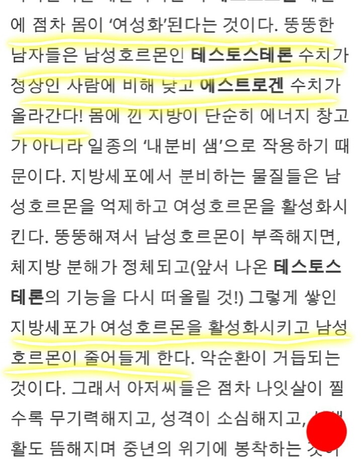 영앤리치 빅앤핸섬에 fit and muscle을 새로 추가 해야되는 이유 (남성의 여성화) | 인스티즈