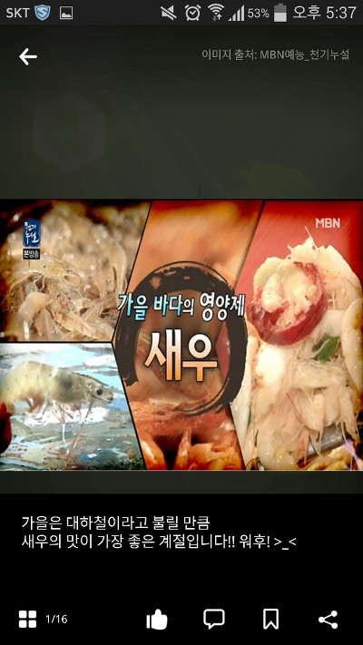 새우를 많이 먹어도 되는 합법적인 이유ㅋㅋㅋㅋㅋㅋ | 인스티즈