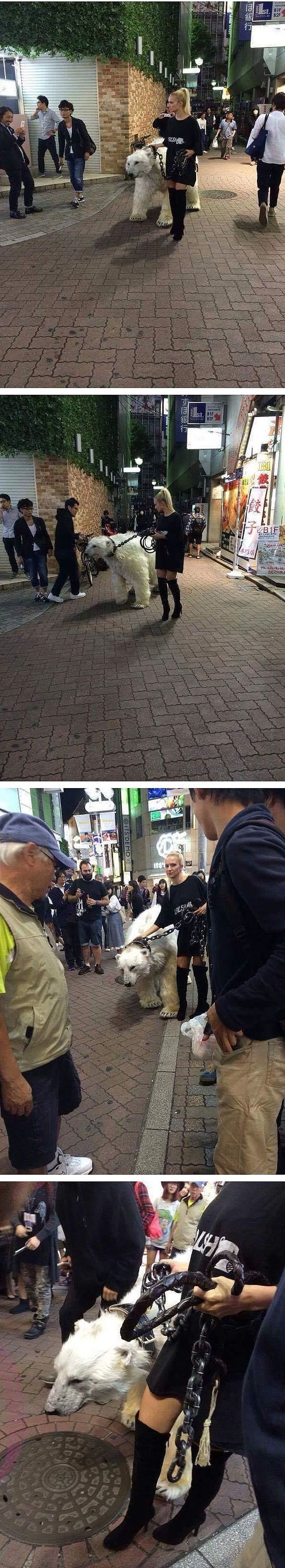 러시아 누나의 애완동물 클라스 | 인스티즈