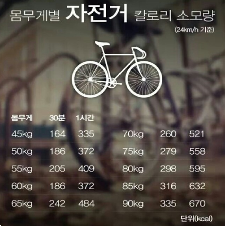 라이딩시즌시작봄 자전거알고타기 (운동효과+칼로리소모) | 인스티즈