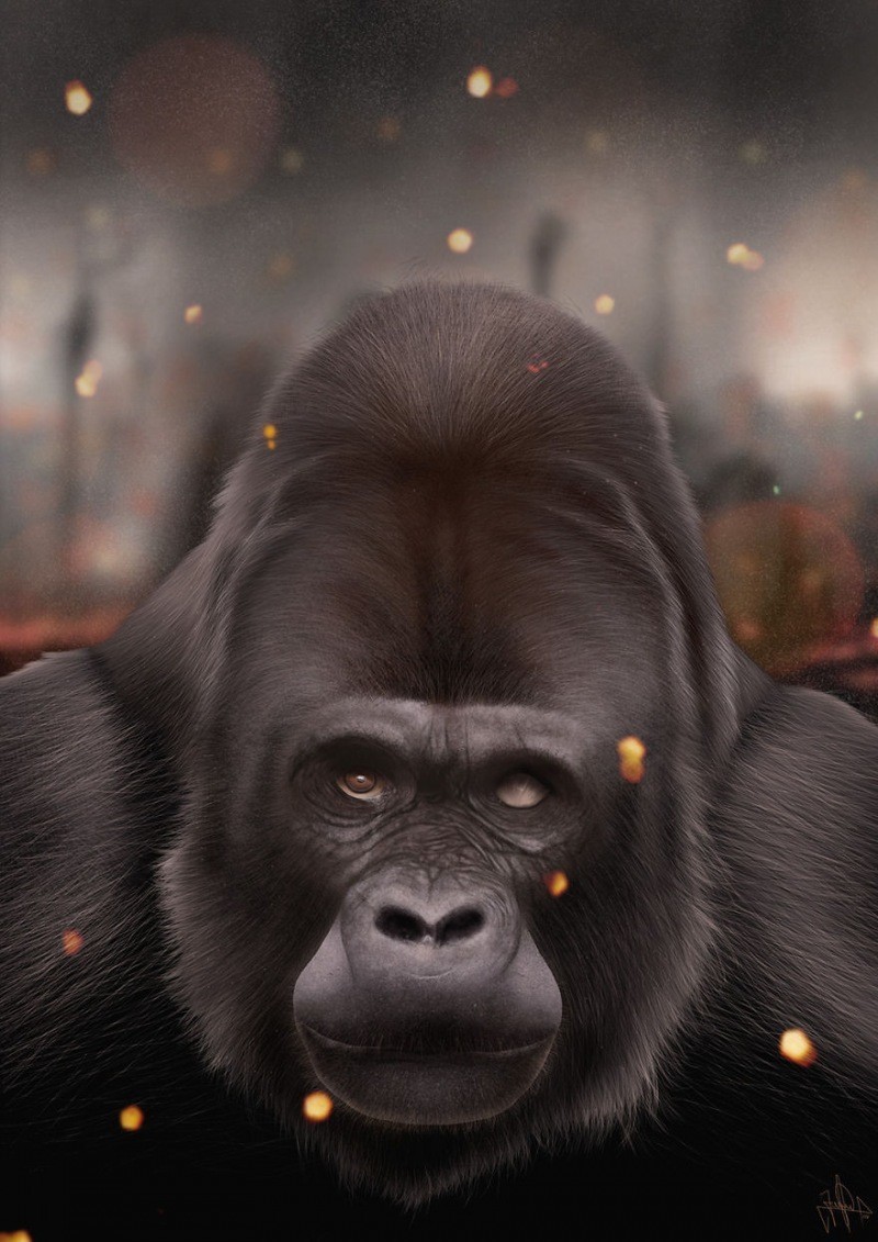 사실적인 그림들 . JPG | 인스티즈