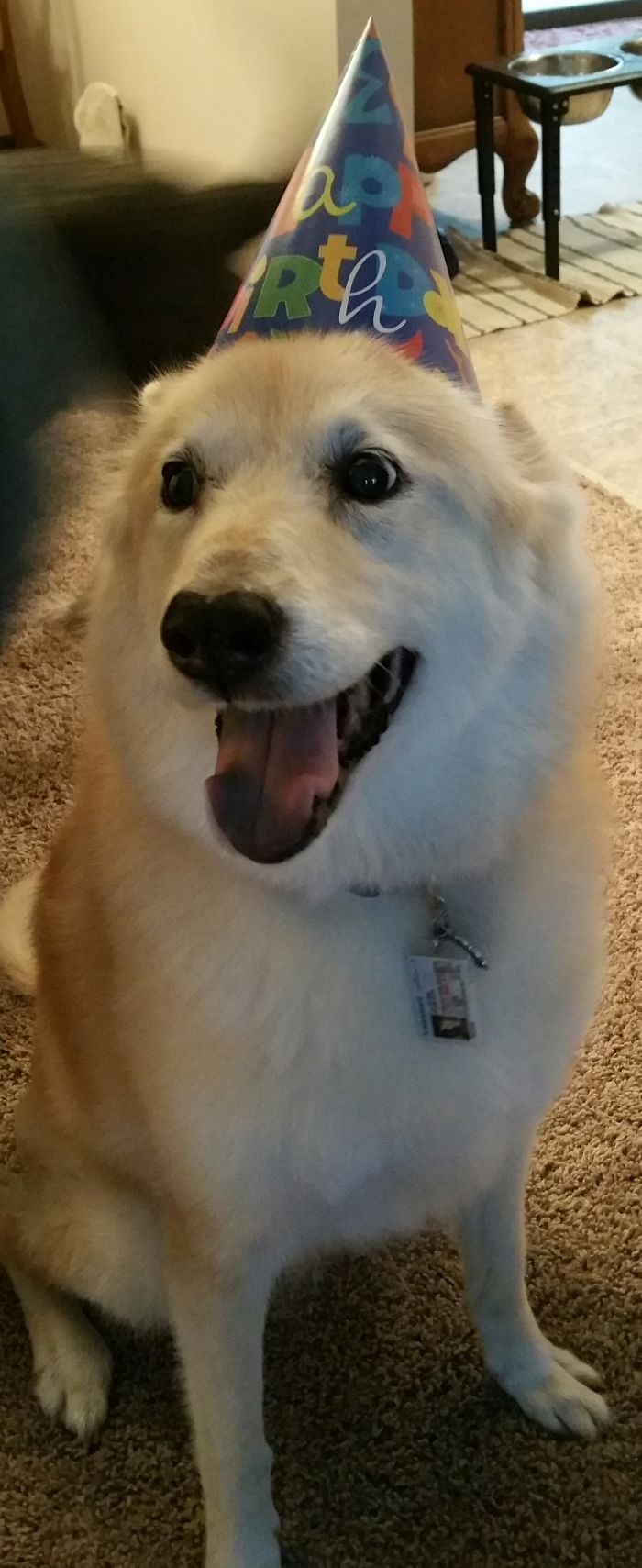 2568BC3C5602ABF02F42DC