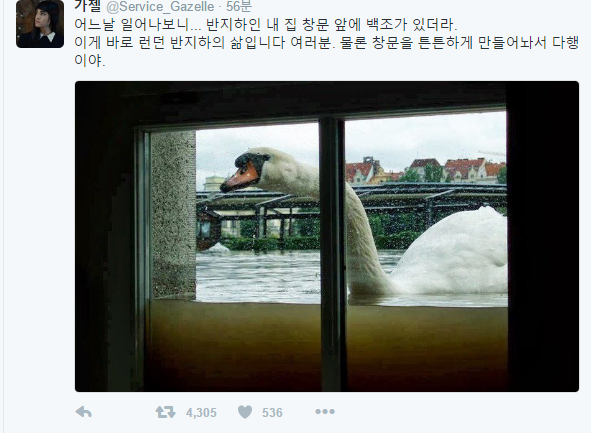 런던 반지하의 삶 | 인스티즈