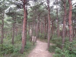 금마주유소 이미지