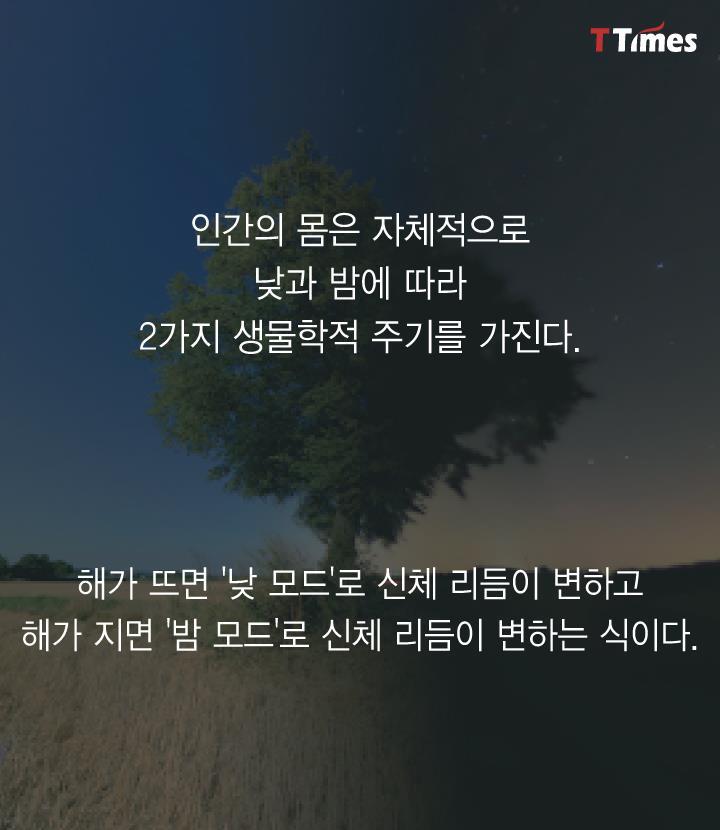 현대인은 잠이 부족한게 아니라 어둠이 부족하다 | 인스티즈