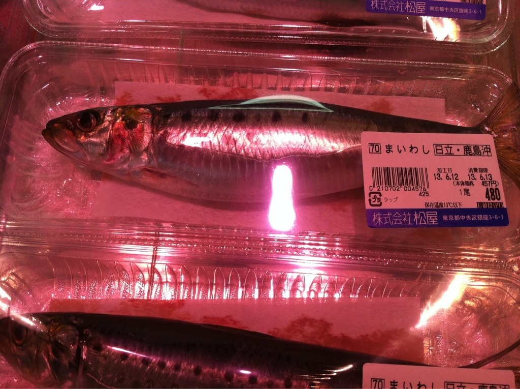 생선가게 이미지
