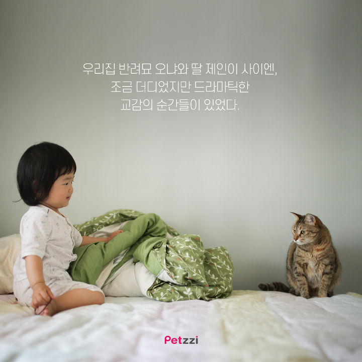 아기와 고양이의 교감 | 인스티즈