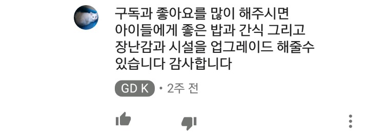 가정집 고양이공장같은 애니머호더 유튜버 봐줘라 | 인스티즈