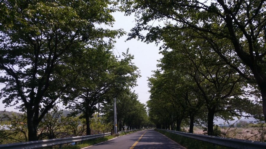 석은수 이미지