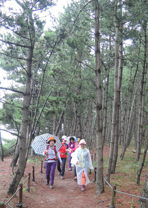 반도소관 이미지