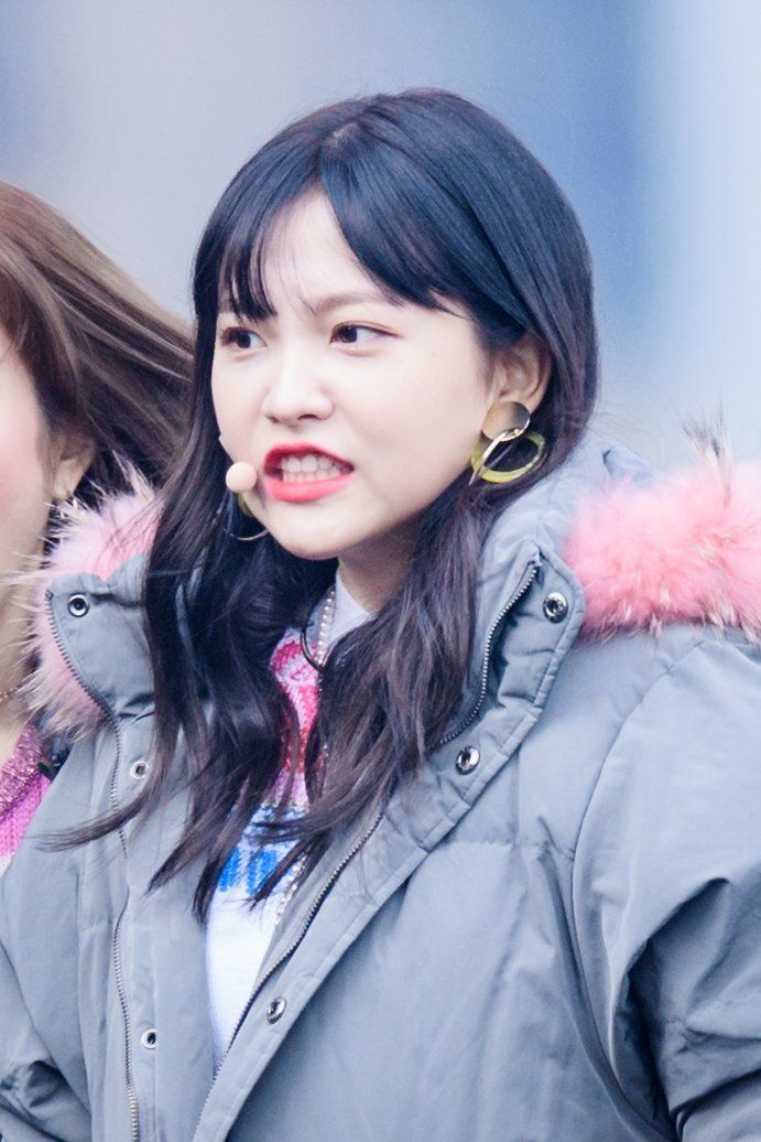 너무 추워서 사나워진 예부기.jpgif | 인스티즈