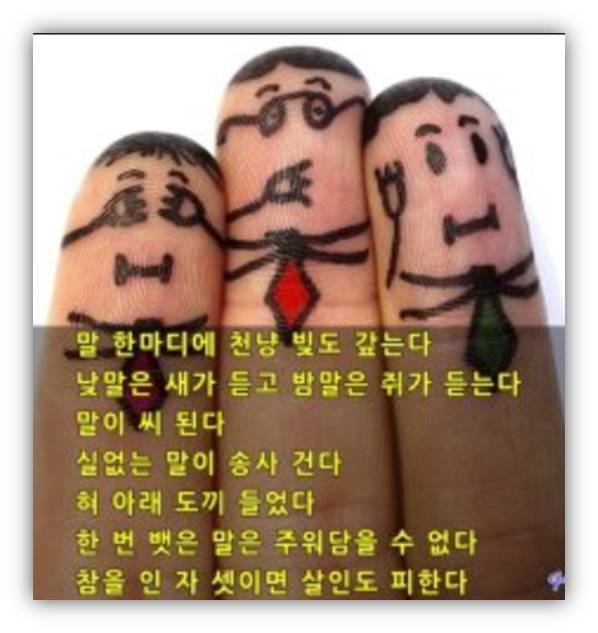 미디한 이미지
