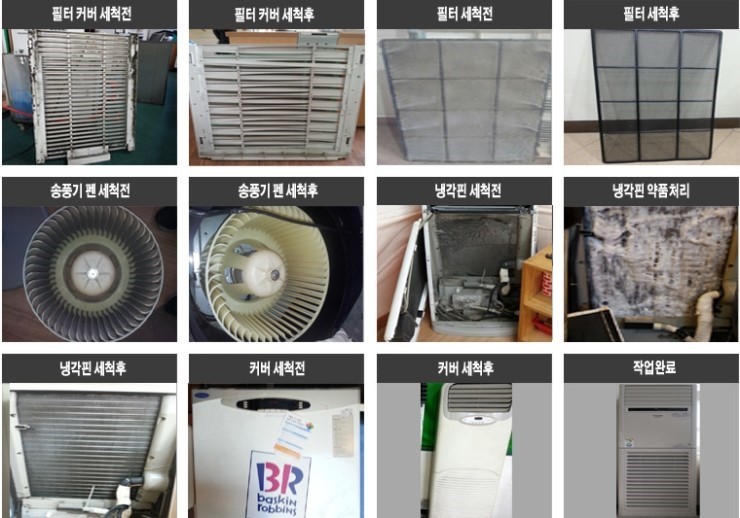 대련클린 이미지