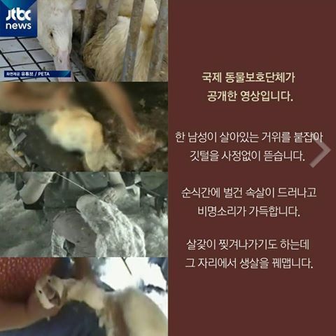 모르는 것은 죄가 아니다. 그러나 알고자 하지 않는 것은 죄다 | 인스티즈