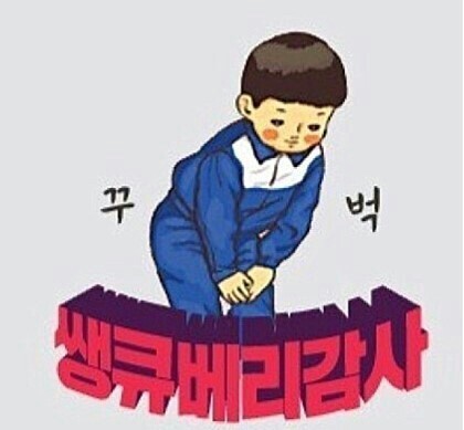 허니항공여행사 이미지