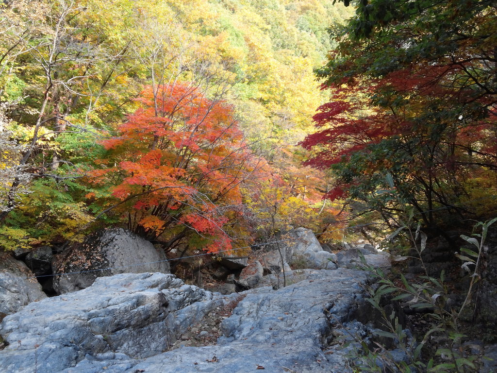 산중농원 이미지