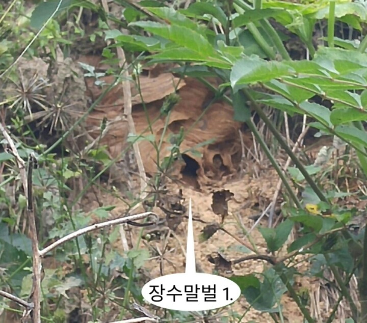 왕대박집 이미지