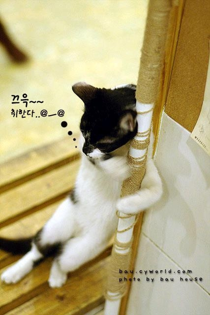 즐거운하루 이미지