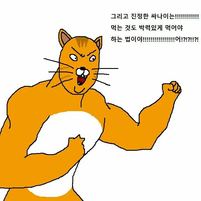 상남자 고양이가 아들 교육하는 만화 | 인스티즈