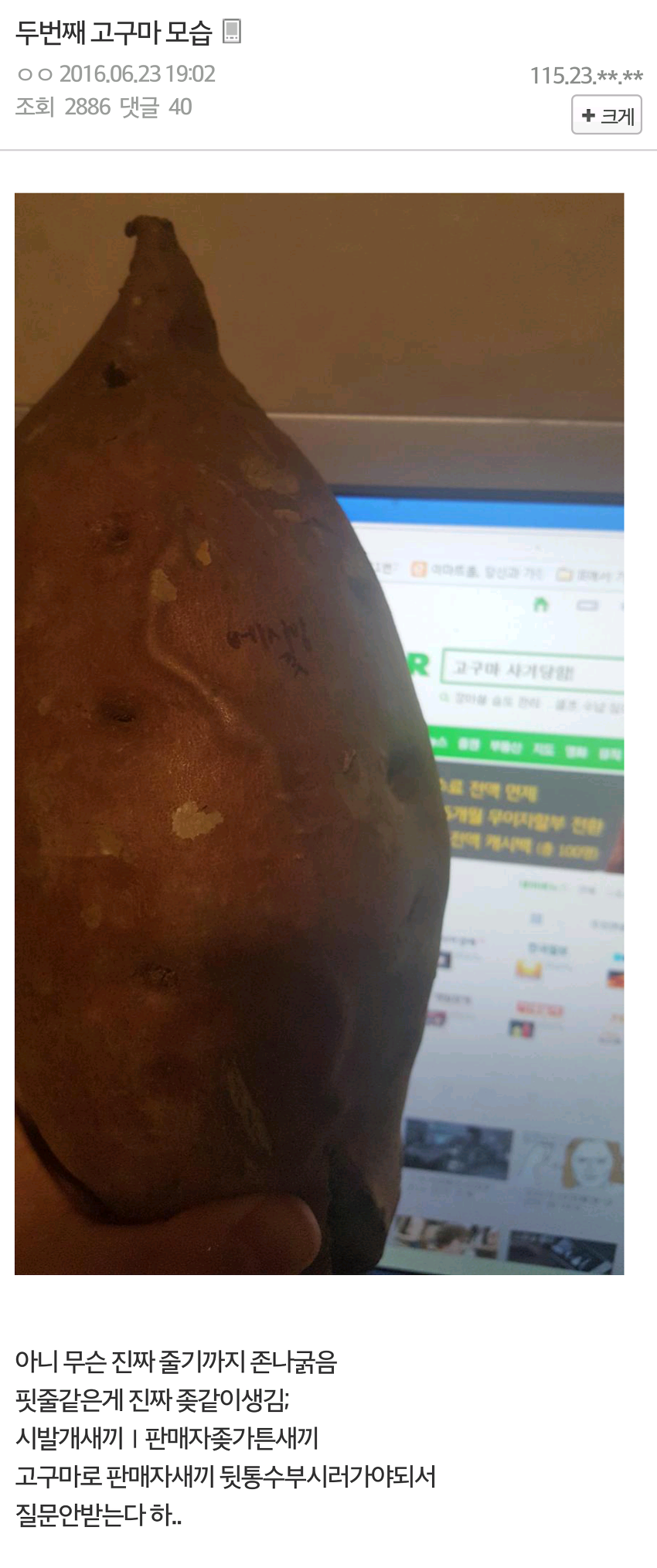 고구마 구입한 디시인 | 인스티즈
