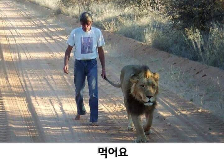 우리애는 어요 | 인스티즈