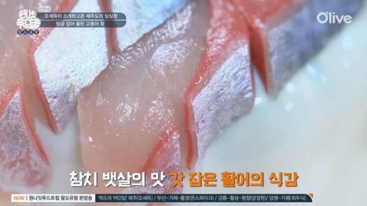 제주도 고등어회.jpg | 인스티즈