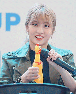우리나라 정치상황을 요약한 트와이스 모모 | 인스티즈