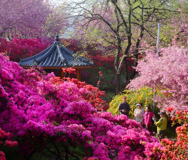 전주 완산공원 꽃동산 - 관광객보다 전주 시민들이 더 많이 가는 곳 | 인스티즈