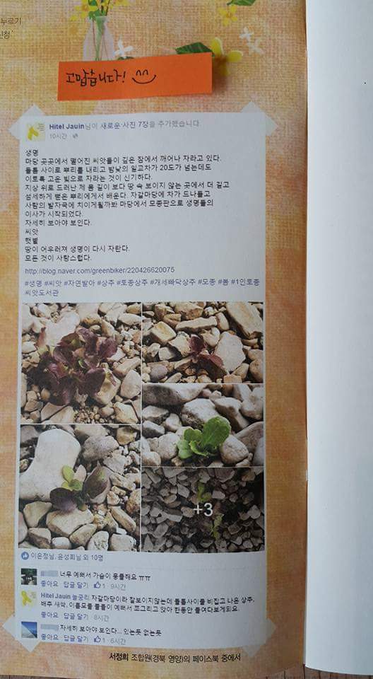 씨앗이야기 이미지