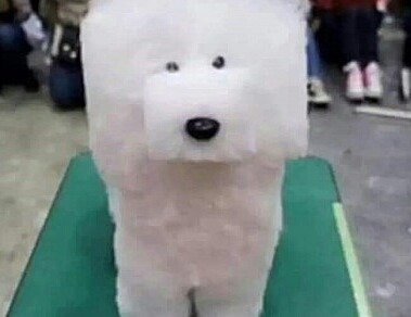 [고르기] 현실세계로 부터 도피하고 싶어하던 게녀에게 멈뭄이가 찾아왔다 | 인스티즈