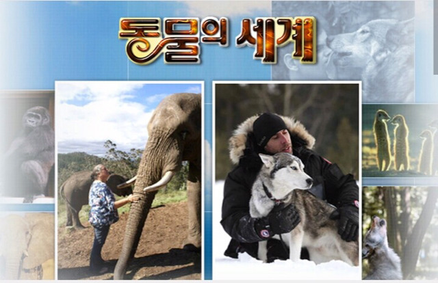 엄마,아빠가 자주 보는 프로그램 공감 | 인스티즈