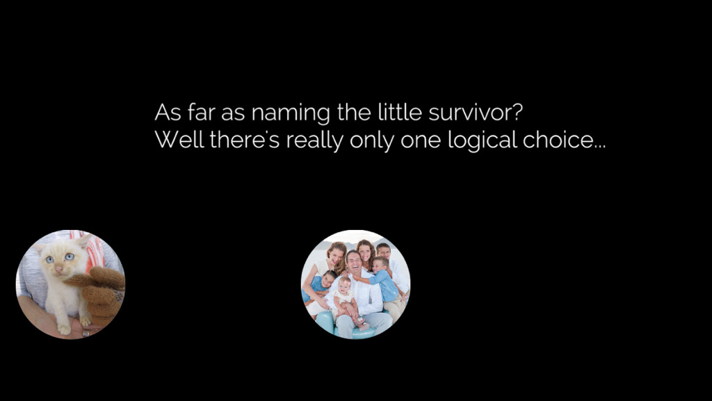 얼어서 죽어가는 아기고양이를 살린 가족 | 인스티즈