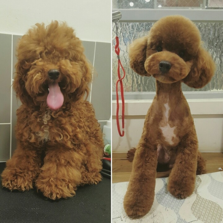 미용천하 이미지