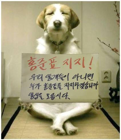 똥개부대 홍준표 지지선언 | 인스티즈