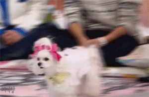 어디선가 한번쯤 본 적 있는 짤 & 팬아저짤의 비하인드스토리.gif (통합.ver) | 인스티즈