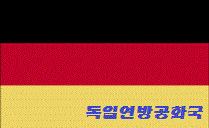 집중하는 고양이 | 인스티즈